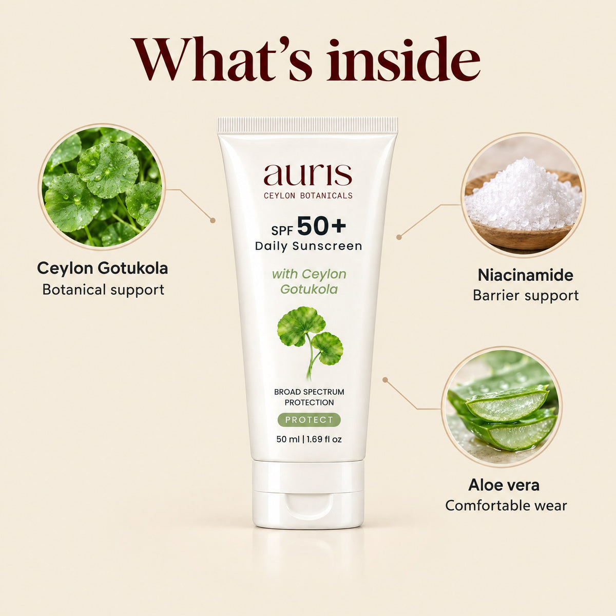 Auris SPF 50+ Daily Sunscreen: what's inside: key ingredients