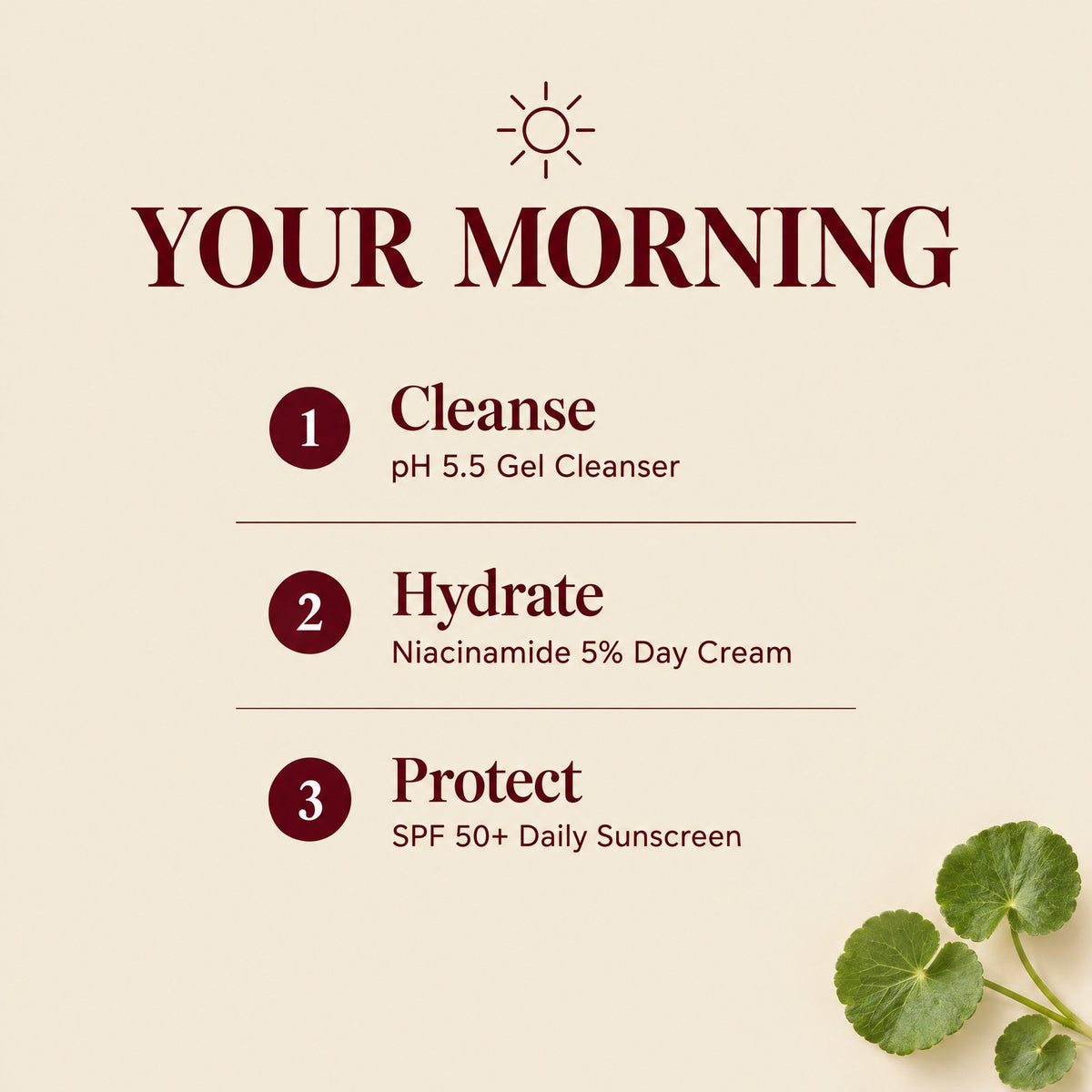 Auris Daily Essentials: the morning routine, step by step