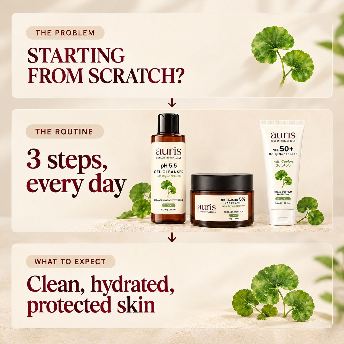 Auris Daily Essentials: the problem, the routine and what to expect