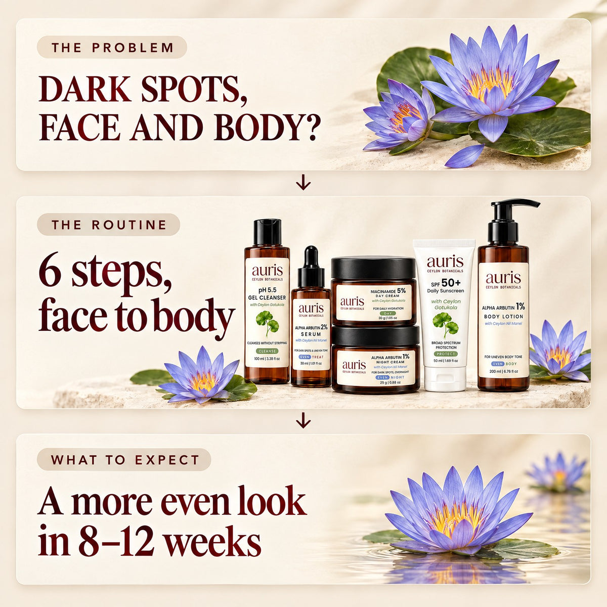 Auris EVEN Ritual: the problem, the routine and what to expect