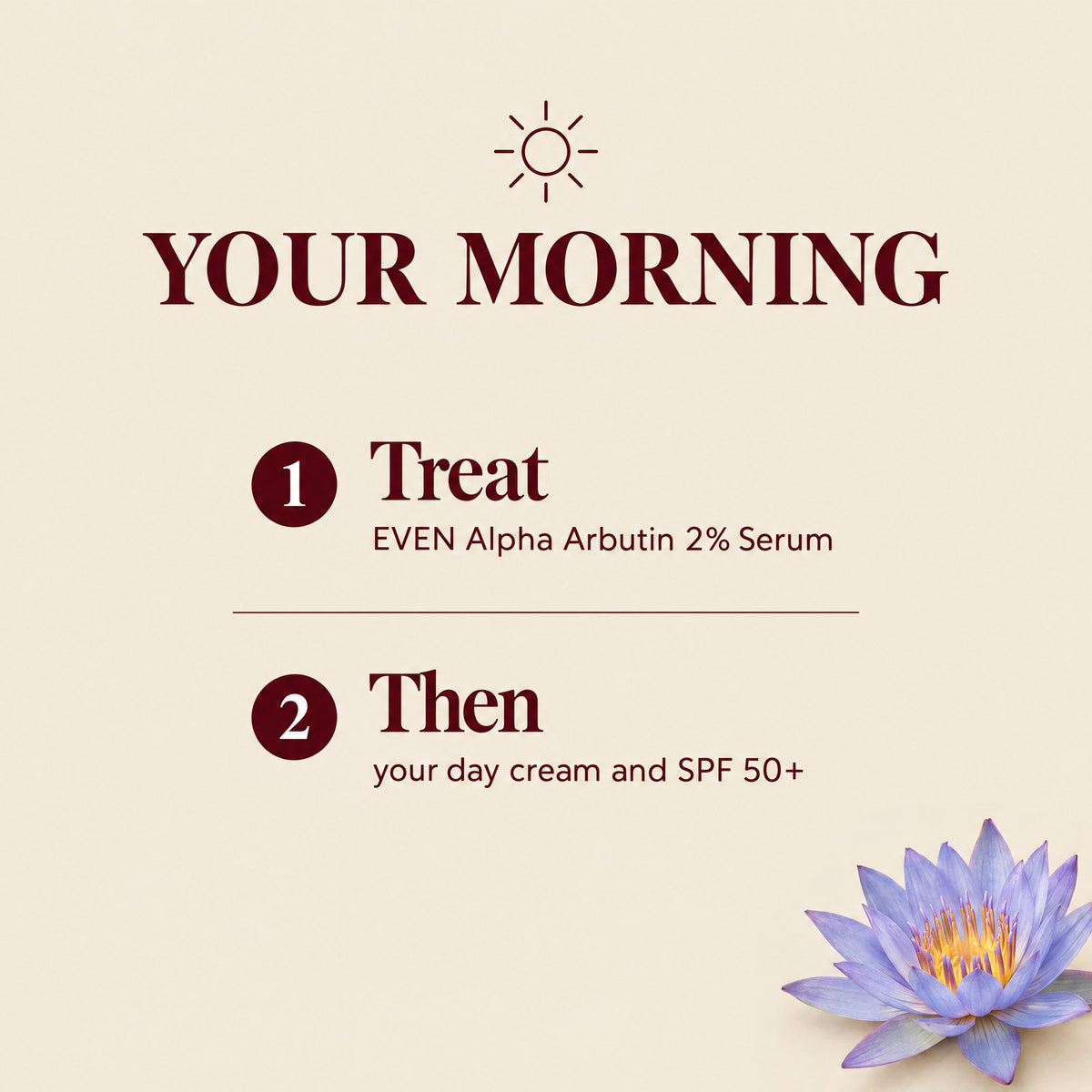 Auris EVEN Starter: the morning routine, step by step