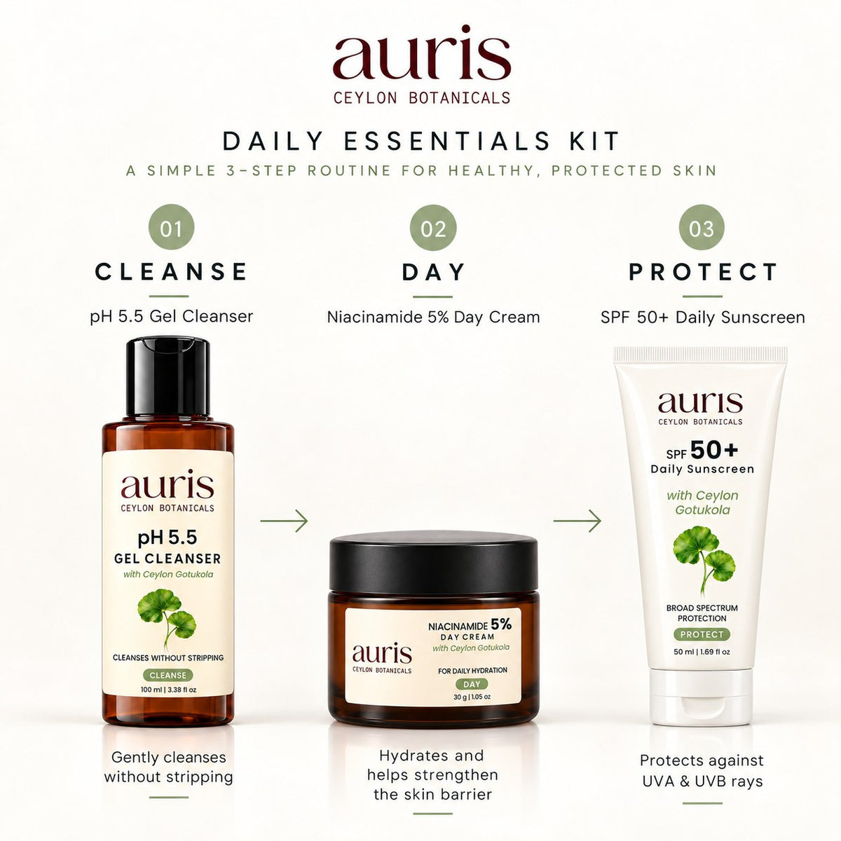 OLD (restored for review) — Auris Daily Essentials routine, step by step, morning and night