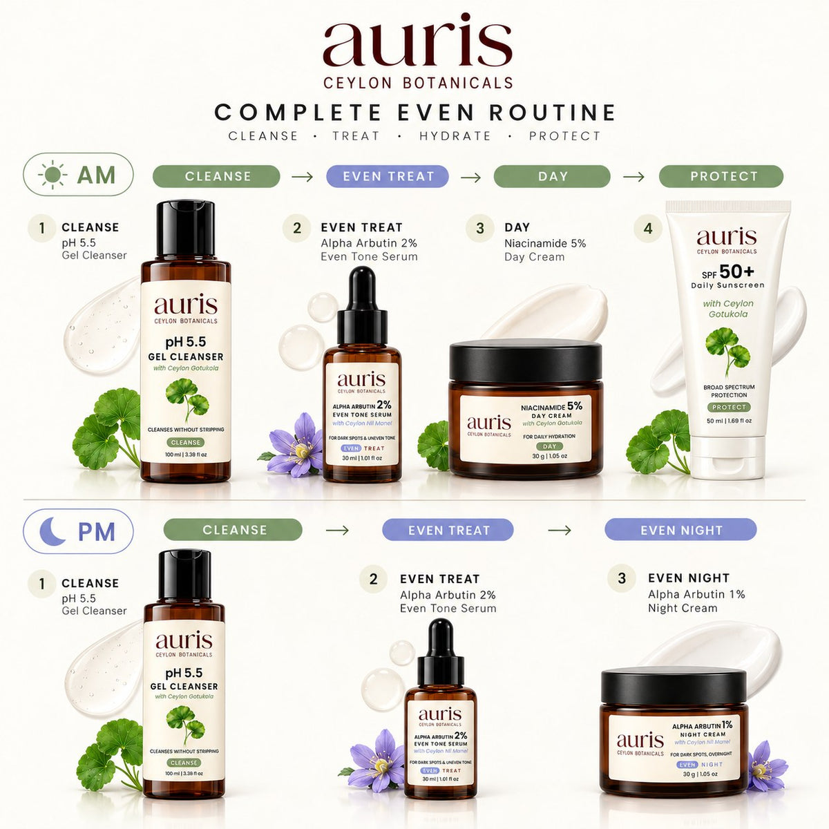OLD (restored for review) — Auris Complete EVEN routine, step by step, morning and night
