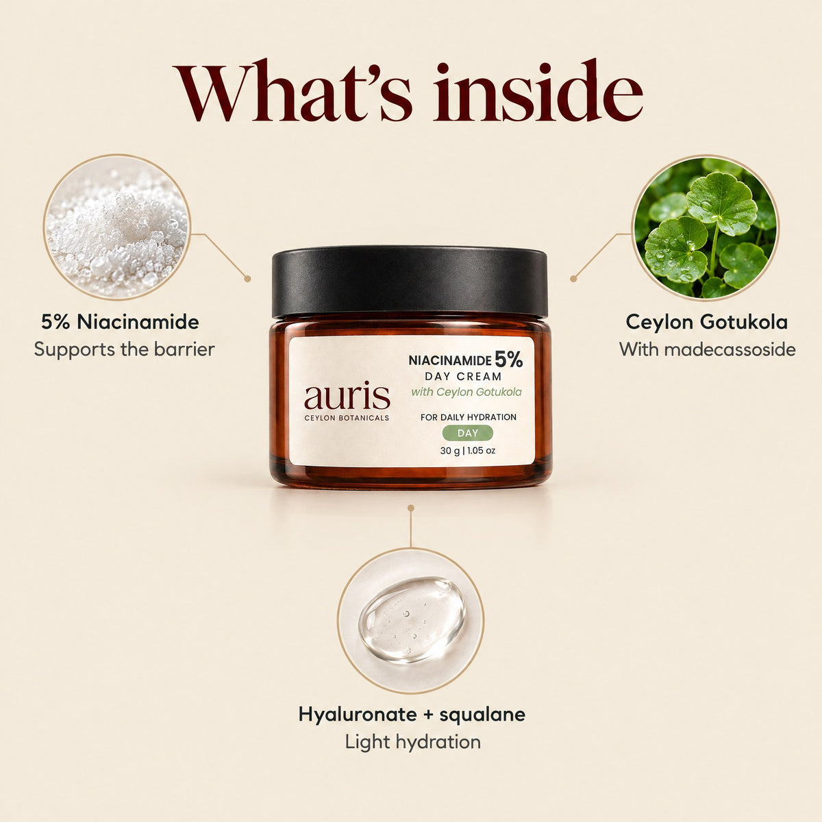 Auris Niacinamide 5% Day Cream: what's inside: key ingredients