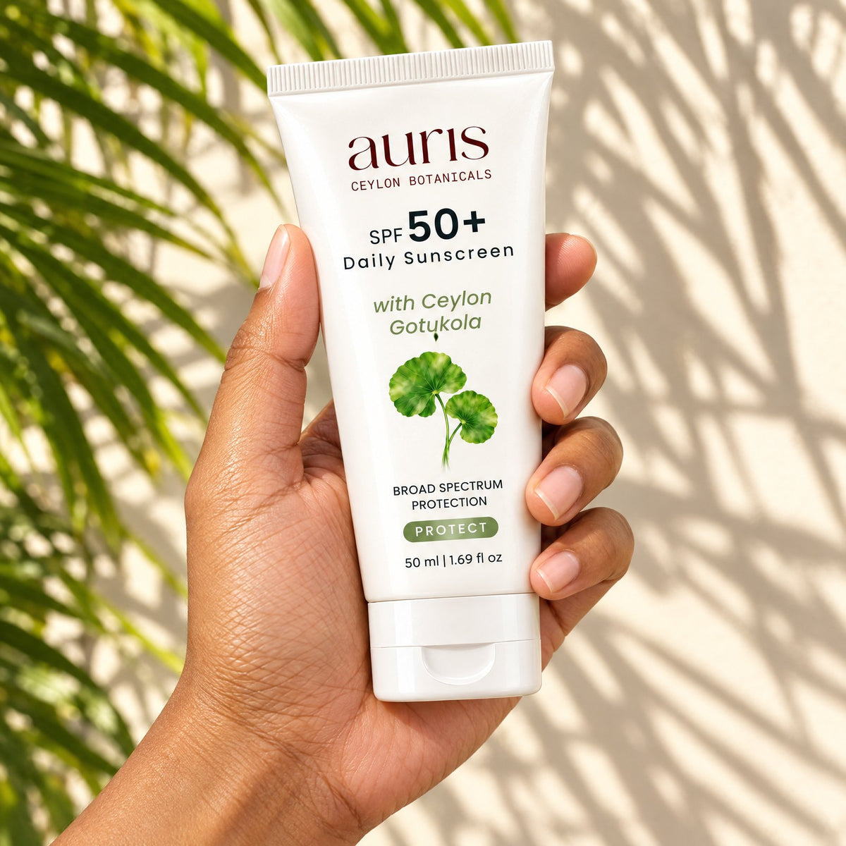Auris SPF 50+ Daily Sunscreen held in hand, label facing the camera