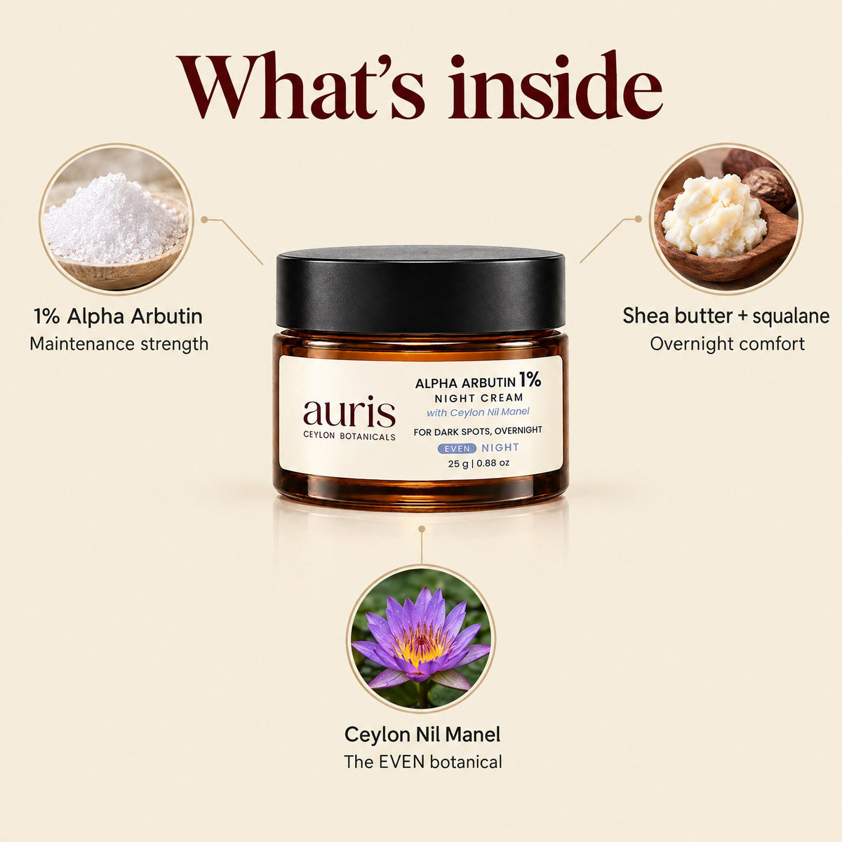 Auris EVEN Alpha Arbutin 1% Night Cream: what's inside: key ingredients
