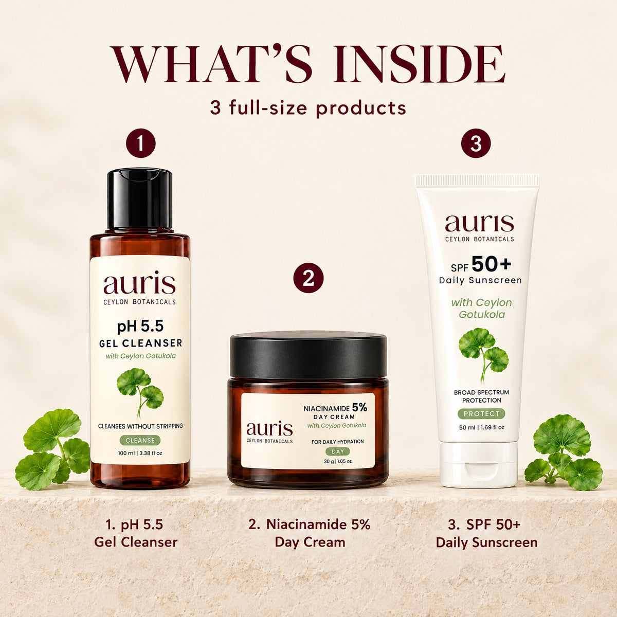 Auris Daily Essentials: what is inside, numbered