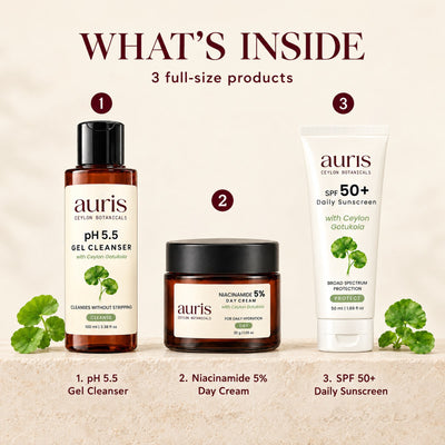 Auris Daily Essentials: what is inside, numbered
