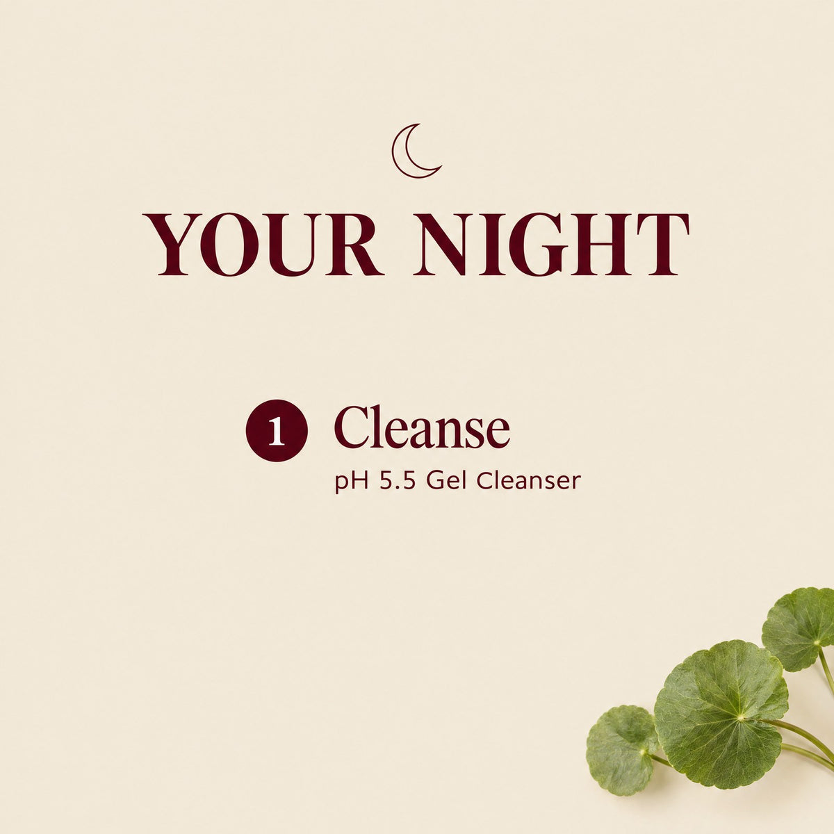 Auris Daily Essentials: the night routine, step by step