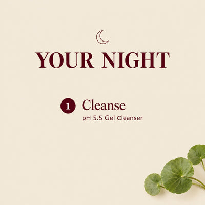 Auris Daily Essentials: the night routine, step by step