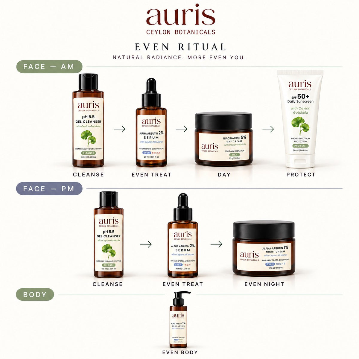 OLD (restored for review) — Auris EVEN Ritual routine, step by step, morning and night