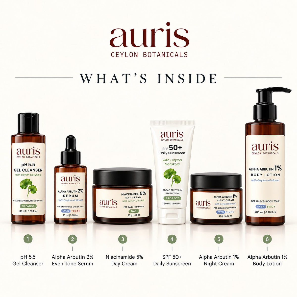 OLD (restored for review) — What is inside the Auris EVEN Ritual: pH 5.5 Gel Cleanser + Niacinamide 5% Day Cream + SPF 50+ Daily Sunscreen + EVEN Alpha Arbutin 2% Serum + EVEN Alpha Arbutin 1% Night Cream + EVEN Alpha Arbutin 1% Body Lotion